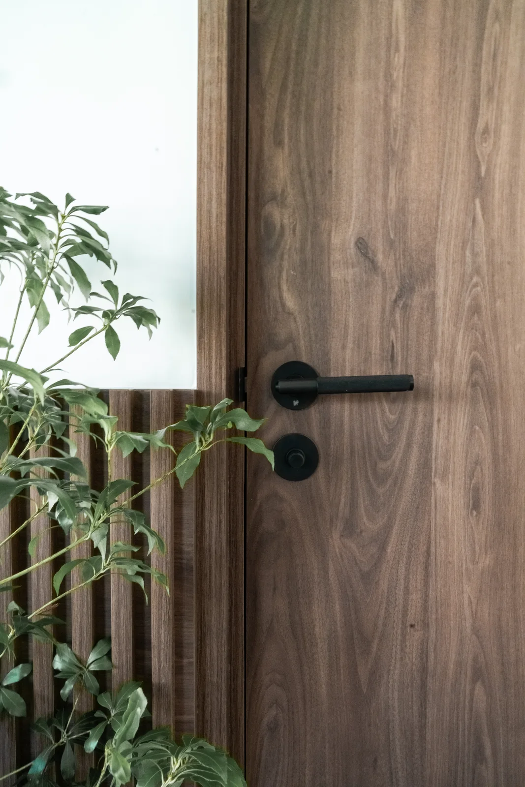 Malibu Garden — Timber door